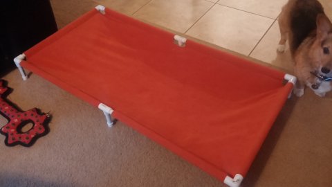 Dog Bed Prototype