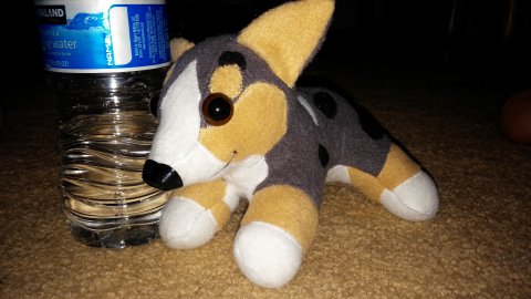 Tiny Corgi Plushie